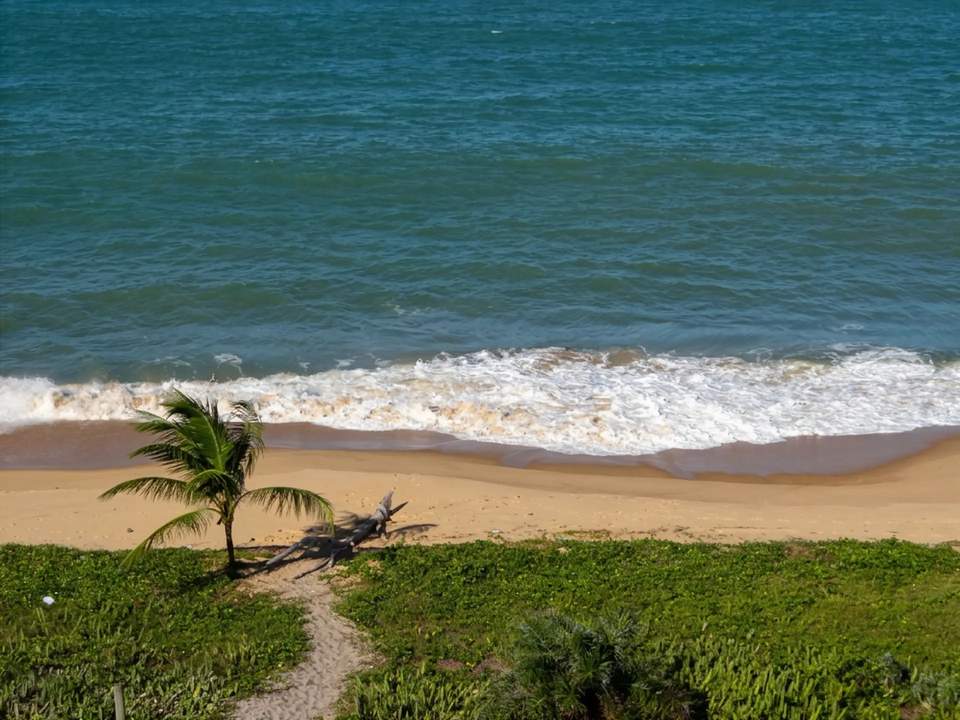 Mutari Beach coastline